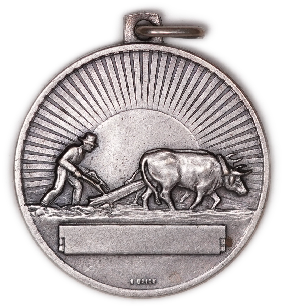 Judaica / Zionism - Argentina - 75th Anniversary of Jewish Colonization in Argentina, 1889-1964 - Founding of ...