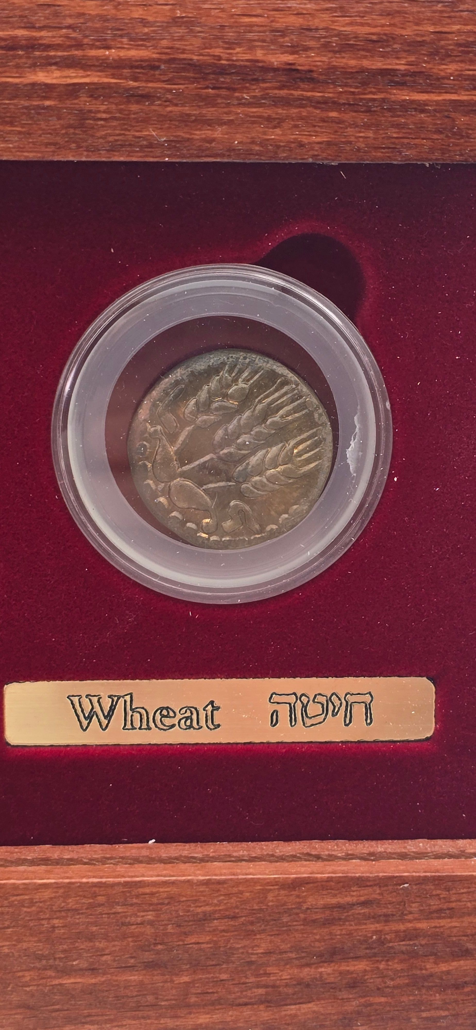 Israel - The Seven Species 2006 - Set of 7 Ancient Jewish Coin Replicas - 2 Pure Silver and 5 Bronze, 27mm Each - 1 8