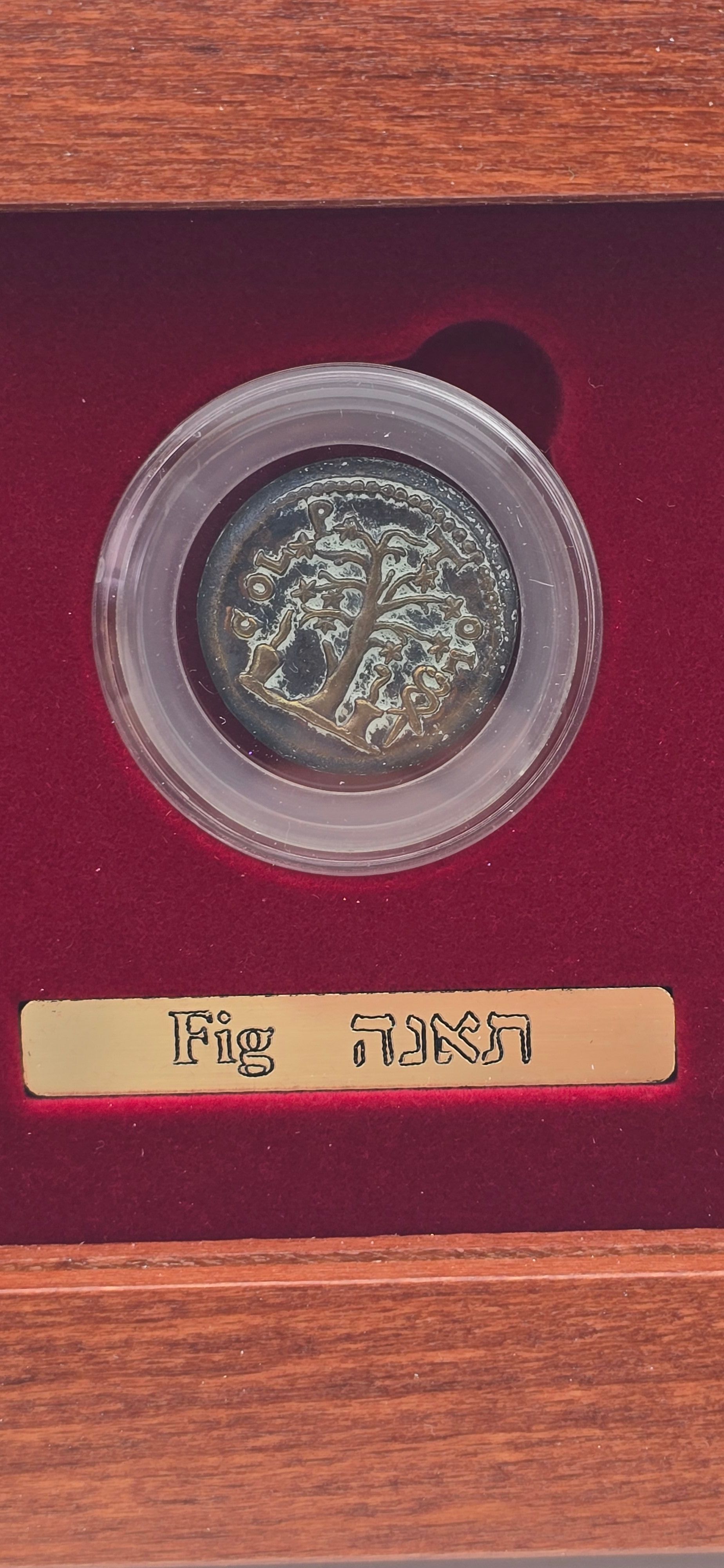 Israel - The Seven Species 2006 - Set of 7 Ancient Jewish Coin Replicas - 2 Pure Silver and 5 Bronze, 27mm Each - 1 5