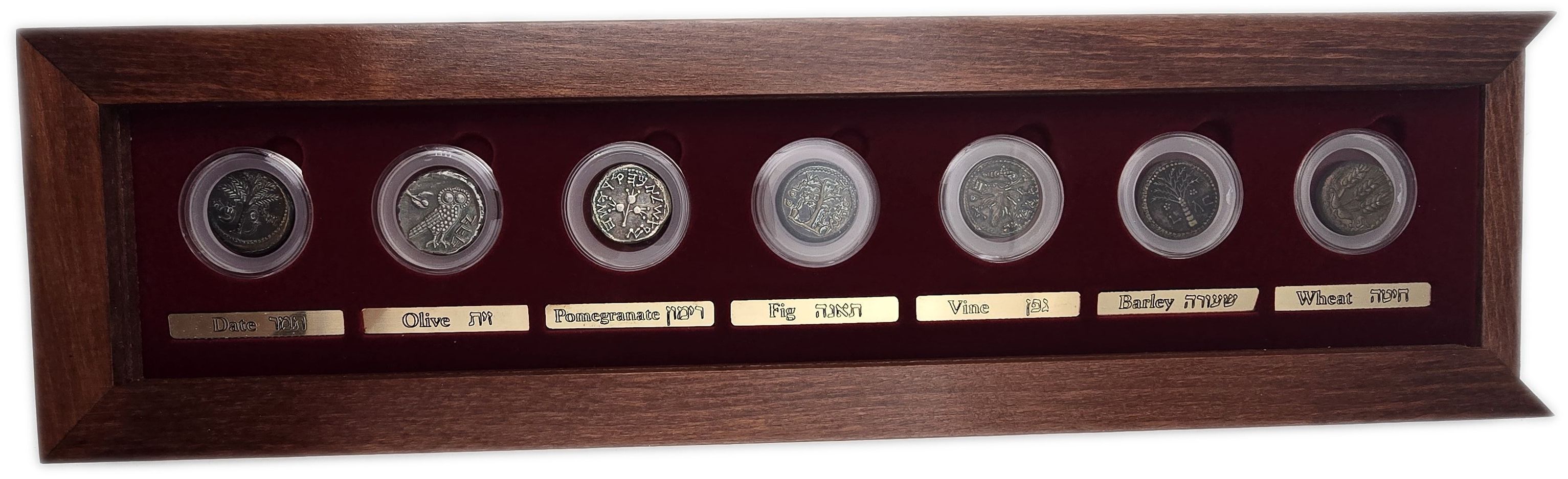 Israel - The Seven Species 2006 - Set of 7 Ancient Jewish Coin Replicas - 2 Pure Silver and 5 Bronze, 27mm Each - 1 1