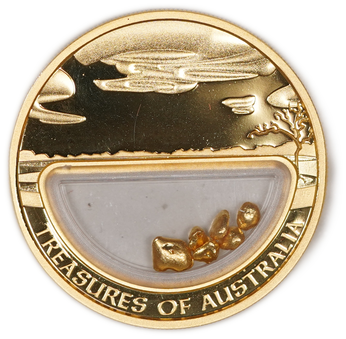 Australia - 100 Dollars 2010 - Treasures of Australia - Gold - Proof Coin with Natural Gold Nuggets in Transparent ... - 1 1