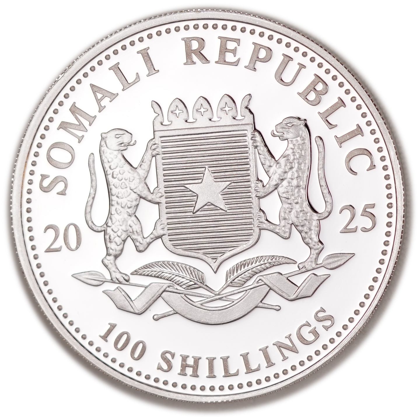 Somalia - 100 Shillings 2025 - African Wildlife - Leopard - Gilded African Leopard - .9999 Fine Silver - 1 Troy ... - 1 3