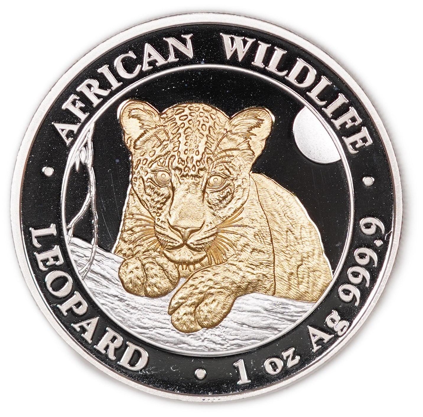 Somalia - 100 Shillings 2025 - African Wildlife - Leopard - Gilded African Leopard - .9999 Fine Silver - 1 Troy ... - 1 0