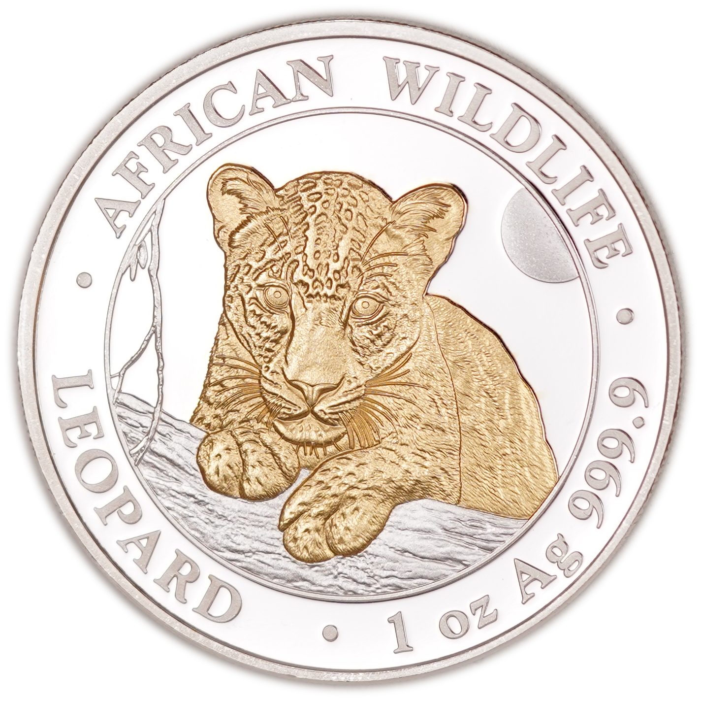 Somalia - 100 Shillings 2025 - African Wildlife - Leopard - Gilded African Leopard - .9999 Fine Silver - 1 Troy ... - 1 2