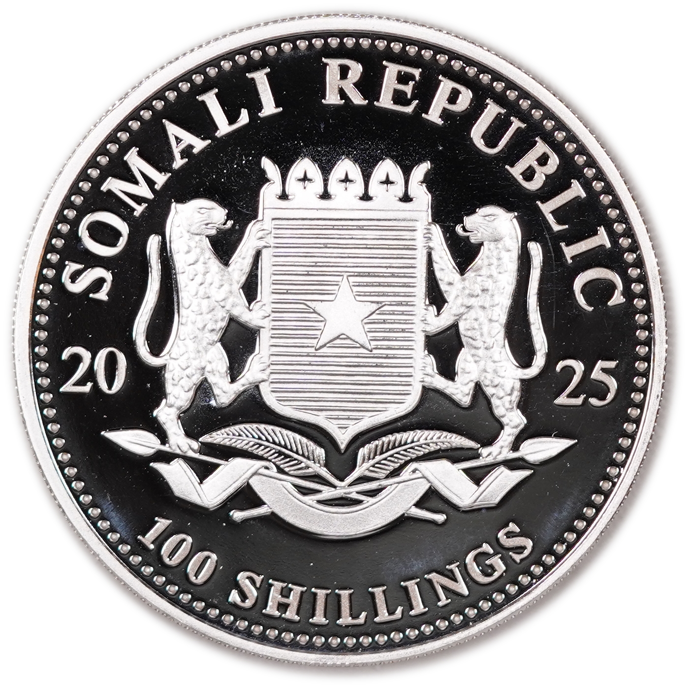 Somalia - 100 Shillings 2025 - African Wildlife - Leopard - Gilded African Leopard - .9999 Fine Silver - 1 Troy ... - 1 1